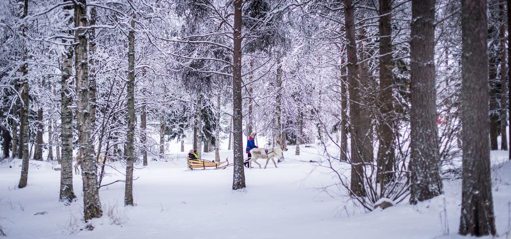 Lapland Igloo Hotel Ranua Luaran gambar