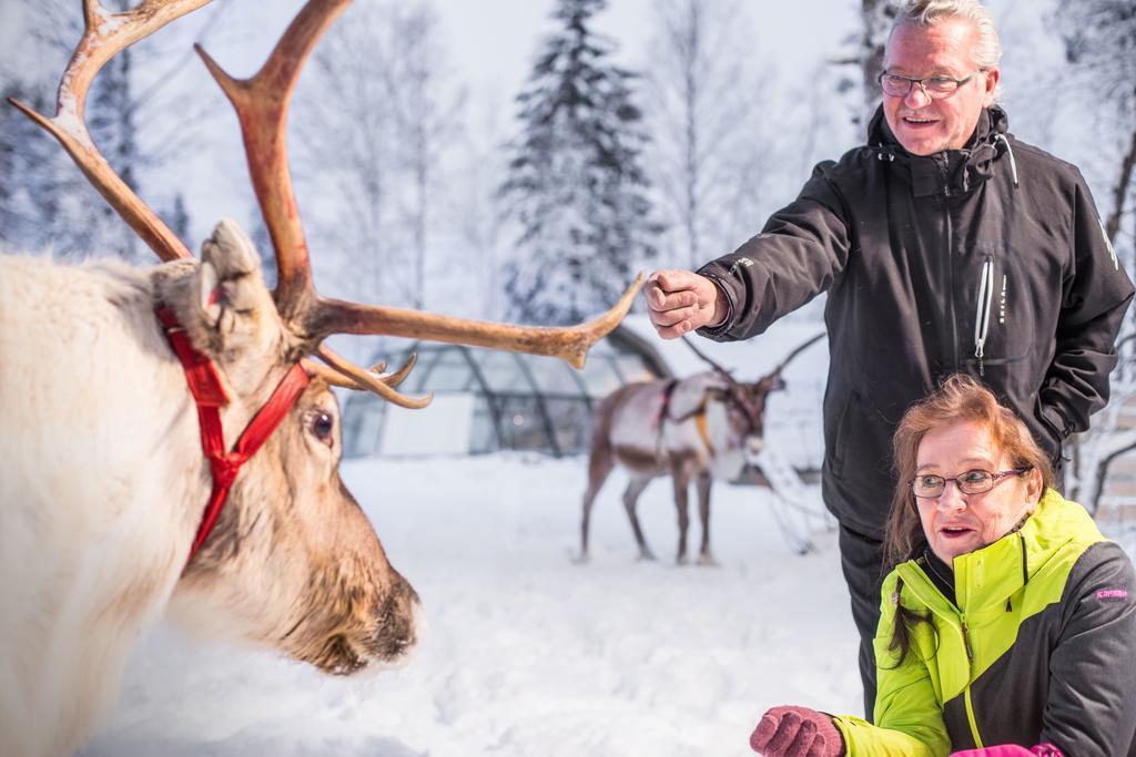 Lapland Igloo Hotel Ranua Luaran gambar