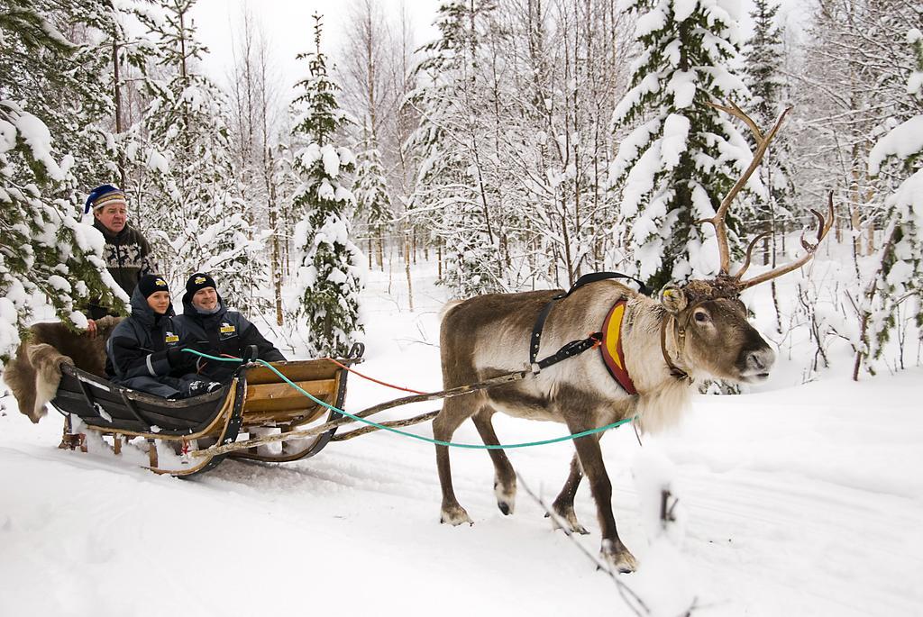 Lapland Igloo Hotel Ranua Luaran gambar